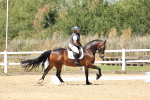 SBM_001626