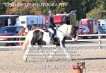 BPP_8960