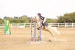 SBM_002291