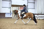 SBM_6588