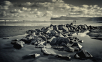 Yorkshire's Jurassic Coast