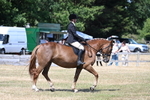 WJ7_3635