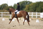 SBM_015816