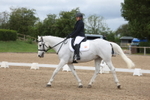 Unaffiliated Dressage portfolio
