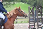 BPP_8868