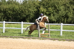Arena Eventing - 27-7-24 portfolio