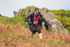 Wasdale Show-841