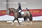 BPP_5440