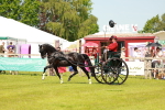 SBM_02869