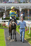 Race 6 4.45pm Constant Security Services Handicap portfolio