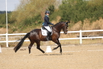 SBM_009016