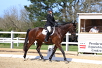 Pendarves Summer Series Dressage 05.04.2026 portfolio