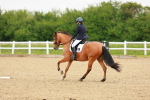 SBM_005331