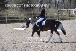BPP_9654