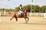 SBM_007906