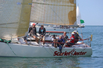 140621 SCARLET JESTER WT7A2312