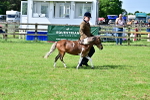 SBM_03595