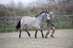 SBM_003967