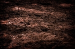 Hot Lava_RLP0065