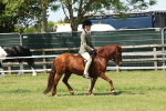 SBM_06811