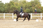 SBM_001218