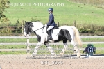 BPP_8976