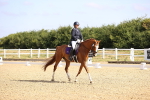 SBM_008585