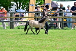 SBM_03563