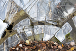 AUTUMN GLASS #3