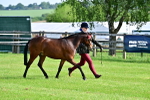 SBM_00962