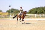 SBM_004866
