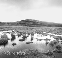 Dartmoor portfolio