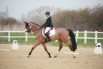 Class 15 - Novice 5 portfolio