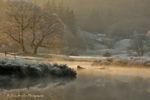 River Of Gold