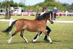 DSC05431