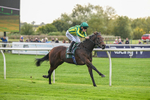 171026-Race 2-Inkberrow-4941