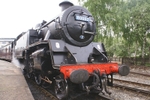T1103