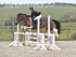 BPP_9867