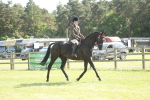 SBM_09293