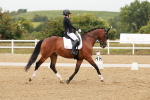 SBM_009186