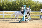 SBM_000118