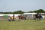 SBM_09209