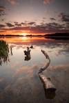 towards-sundown
