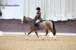 SBM_000033