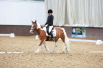 SBM_006315