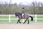 SBM_007447