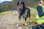 Barrow Fell-535