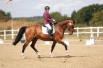 SBM_009778