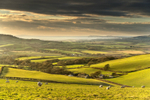 z2161 Evening View from Wroxall Down