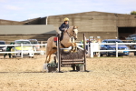 SBM_003616